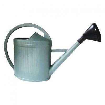 EDA  - Arrosoir plastique ovale + pomme 3 L