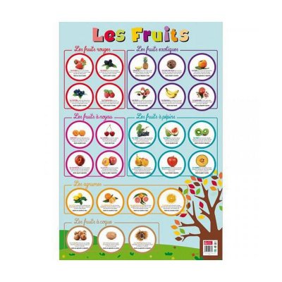 EDITIONS PICCOLIA Poster p&eacute;dagogique en PVC - 76x52 cm - Les Fruits
