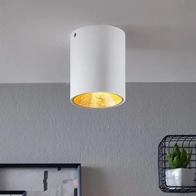 EGLO  - Plafonnier dor&eacute; LED Polasso D10 cm - Blanc - Or