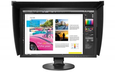 EIZO  24.1' LED ColorEdge CG2420