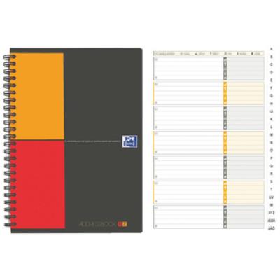 ELBA MODLING  - Classeur Pp Hawai 4 Anneaux D30 A4 Incolore