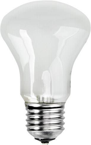 ELINCHROM  lampe pilote 100W 196V pour torche D-lite