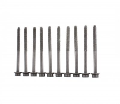ELRING  Boulon / vis de culasse de cylindre 730.300 VOLKSWAGEN EOS