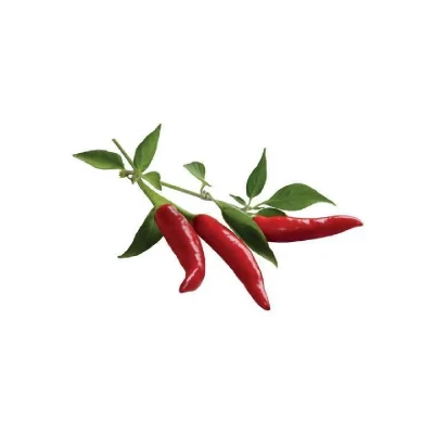 CLICK AND GROW EMSA Lot de 3 Capsules piment Click&Grow