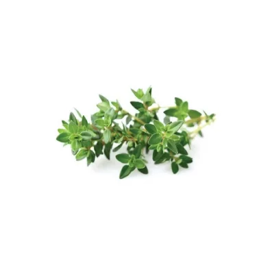 CLICK AND GROW EMSA Lot de 3 Capsules thym Click&Grow
