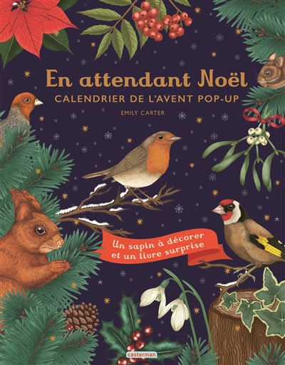 CASTERMAN En Attendant No&euml;l : Calendrier De L'avent Pop-up