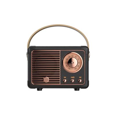 AVIZAR Enceinte Bluetooth 5.0 3W RMS Mod&egrave;le Auteuil avec Poign&eacute;e de Transport Noir