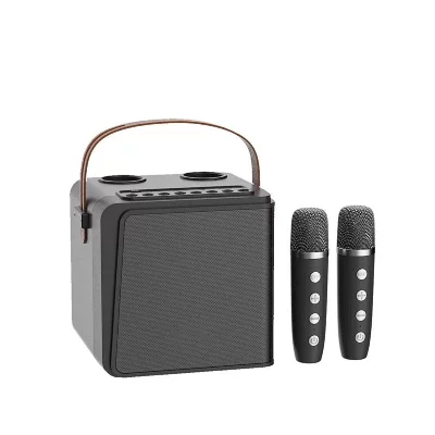 YONIS Enceinte Bluetooth Design Unique Son HD R&eacute;duction Bruit Dual Micro KTV Portable
