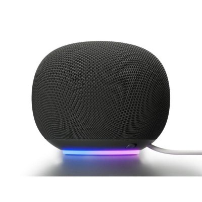 GOOGLE Enceinte intelligente  Home Speaker Hazel