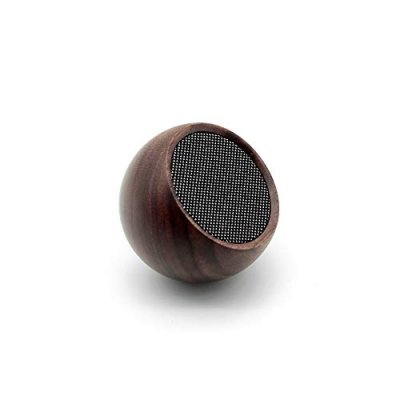 GINGKO Enceinte portable et camera selfie en bois de noyer
