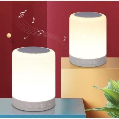INOVALLEY Enceinte portable lumineuse Bluetooth Gris - Hp113L-Bth