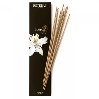 ESTEBAN PARIS PARFUMS Encens indiens N&Eacute;ROLI L30 cm Marron 