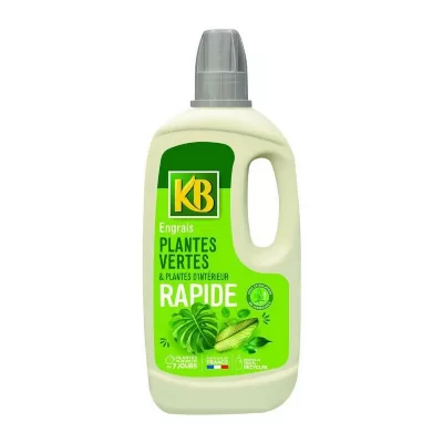 KB Engrais Rapide Plantes Vertes Et Plantes D&rsquo;int&eacute;rieur 1L