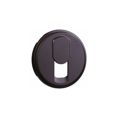 LEGRAND Enjoliveur graphite - Prise t&eacute;l&eacute;phonique simple RJ 45 - C&eacute;liane - 