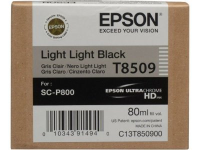 EPSON  cartouche t850900 - noir - 80ml