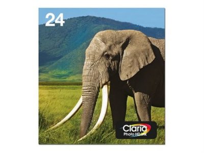 EPSON  EasyMail Multipack El&eacute;phant-Claria Photo HD n&deg;24 N,C,M,J,Cc,Mc