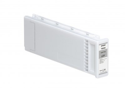 EPSON  Gris clair