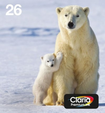 EPSON  Polar bear Multipack 4-colours 26 EasyMail