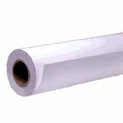 EPSON  rouleau papier mat s041746 - 432mm x 40m - 120g/m2