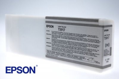 EPSON  sp-11880 light black noir