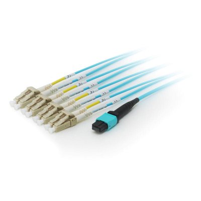 EQUIP  25556307 Fiber Optic Cable 3 M Bleu