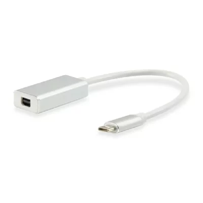 EQUIP  Fiche USB type C vers mini Displayport femelle A 0,15 m