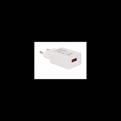 GENERIQUE ERARD - Chargeur usb sur secteur 230v 5v/2.4a smart charge