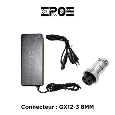 EROZ  Chargeur Standard Universel de Trottinette &Eacute;lectrique pour Batterie 84V