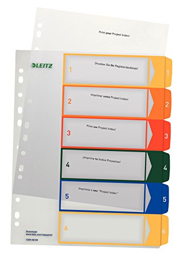 LEITZ Esselte - Intercalaire En Polypropylene Imprimable A4+ - Jeu De 6