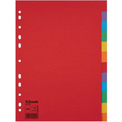 ESSELTE  Intercalaires Economy 12 Onglets Color&eacute;s 10 Unit&eacute;(S)
