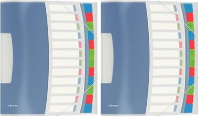 ESSELTE  Vivida Trieur 12 Touches En Polypropyl&egrave;ne A4 Multicolore
