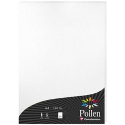 EXACOMPTA CLAIREFONTAINE Etui de 50 feuilles Clairefontaine A4 Pollen Vert Bourgeon