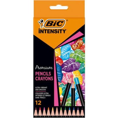 BIC Etui en carton de 12 crayons de couleurs  Intensity