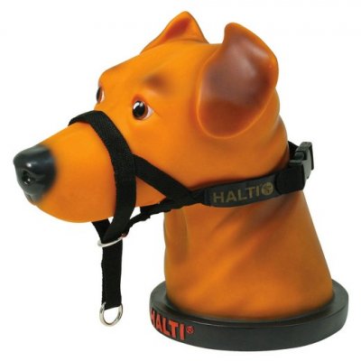 HALTI Europet-Bernina International Dog Trainer 