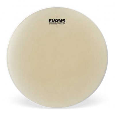 EVANS  EST25 Peau pour caisse Strata Timpani 25