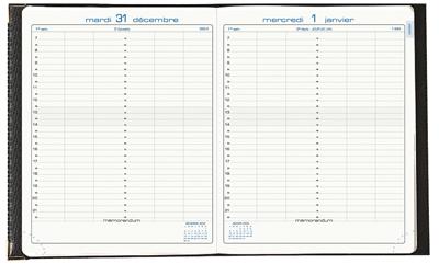 EXACOMPTA  - Agenda Journee Planifiee 22 22412