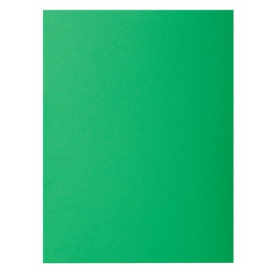 EXACOMPTA  Lot De100 Sous-Chemises Bahia 80g 231 Cm Sapin