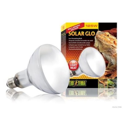 EXO TERRA Exoterra Ampoule et Solar Glo pour Reptiles et Amphibiens 125 W
