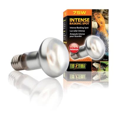 EXO TERRA Exoterra Ampoule Intense Basking Spot pour Reptiles et Amphibiens 75 W
