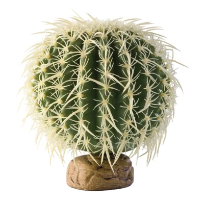 EXO TERRA Exoterra D&eacute;coration Cactus Oursin pour Reptiles et Amphibiens