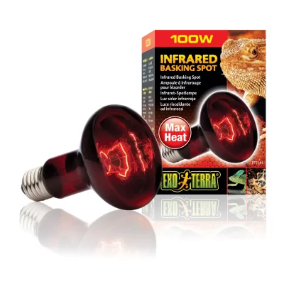 EXO TERRA Exoterra &Eacute;clairage pour Reptiles Lampe Infrared Basking Spot 100 W