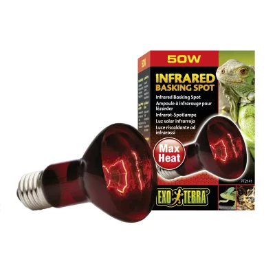 EXO TERRA Exoterra &Eacute;clairage pour Reptiles Lampe Infrared Basking Spot 50 W