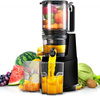 VENDOS85 Extracteur de Jus Lent 250 W &middot; Large Ouverture, Pressage &agrave; Froid - Neuf