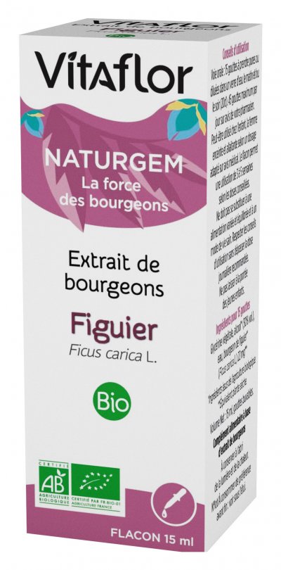 VITAFLOR Extrait De Bourgeon De Figuier Bio 15ml 