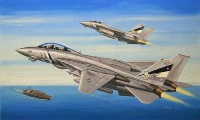 HOBBY BOSS F-14d Super Tomcat - 1:72e - 