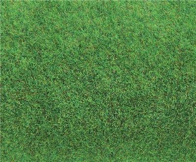 GENERIQUE Faller - F180754 - Mod&eacute;lisme - Tapis - Vert Clair - Gaz