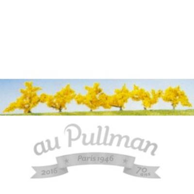FALLER  - F181475 - Mod&eacute;lisme - Forsythias Fleur Jaune - 6 Pi&egrave;ces
