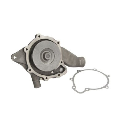 FEBI BILSTEIN  35596 Pompe &agrave; eau Fonte grise avec joint d'&eacute;tanch&eacute;ite Fonte grise