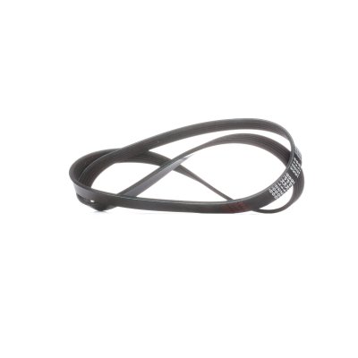 FEBI BILSTEIN  Courroie d'accessoire 28862 RENAULT CLIO