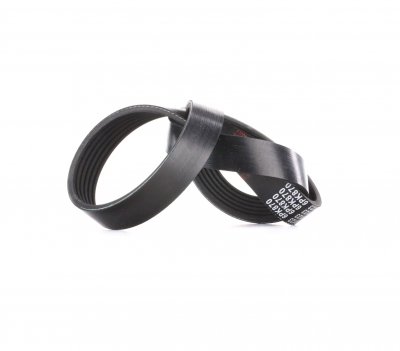 FEBI BILSTEIN  Courroie d'accessoire 39802 PEUGEOT 307